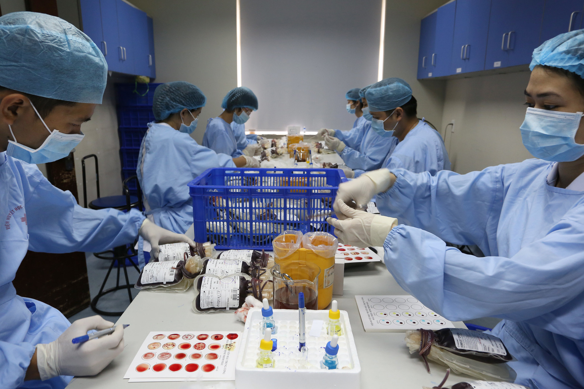 Medical staff working with blood samples