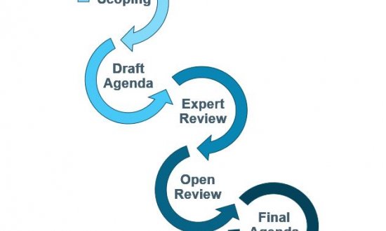 Research Agenda Development Process