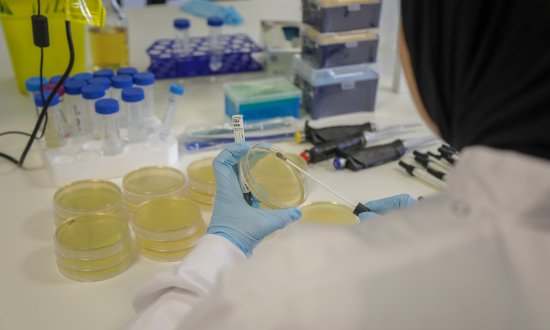Researcher Testing for AMR