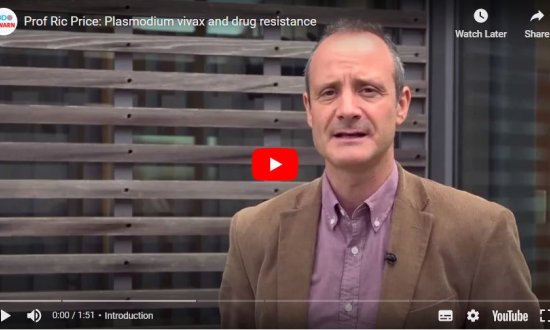 Prof Ric Price Plasmodium vivax and drug resistance