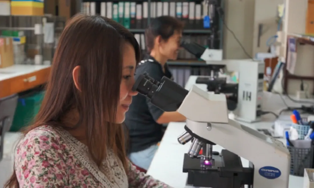 Researchers using microscopes
