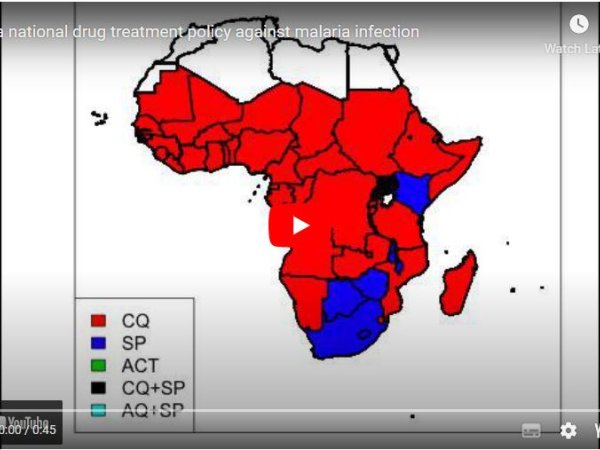 Africa national drug treatment policy against malaria infection