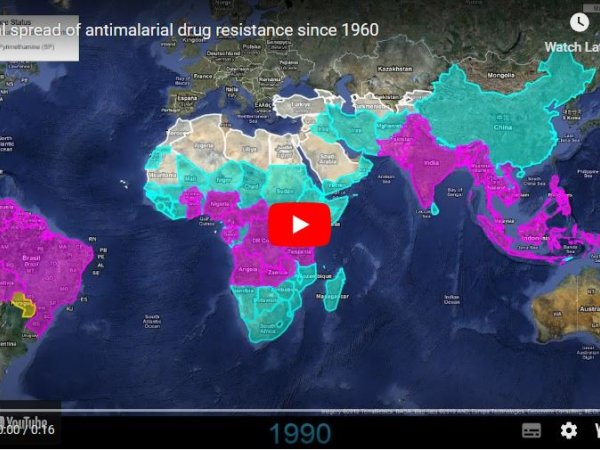 Global spread of antimalarial drug resistance since 1960