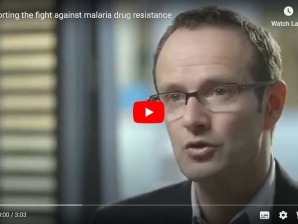 Supporting the fight against malaria drug resistance