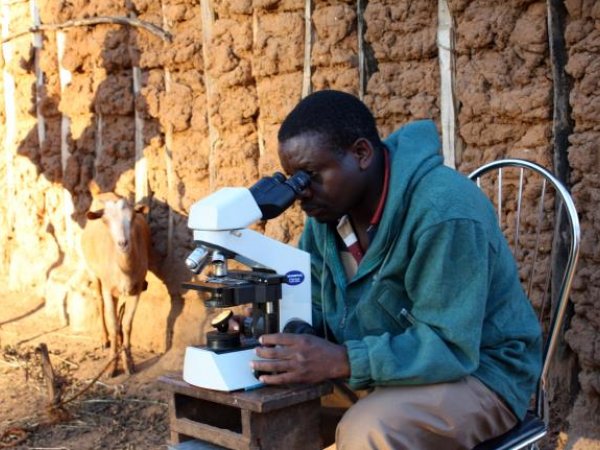 Man using microscope in field study