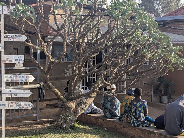 FD-TACT malaria treatment trial