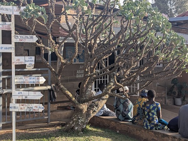 FD-TACT malaria treatment trial