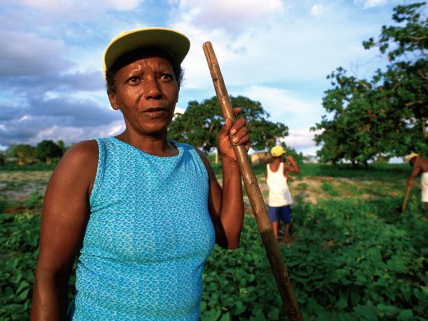 Family tend crops in Brazil. 
