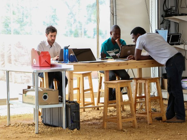 People using laptops 