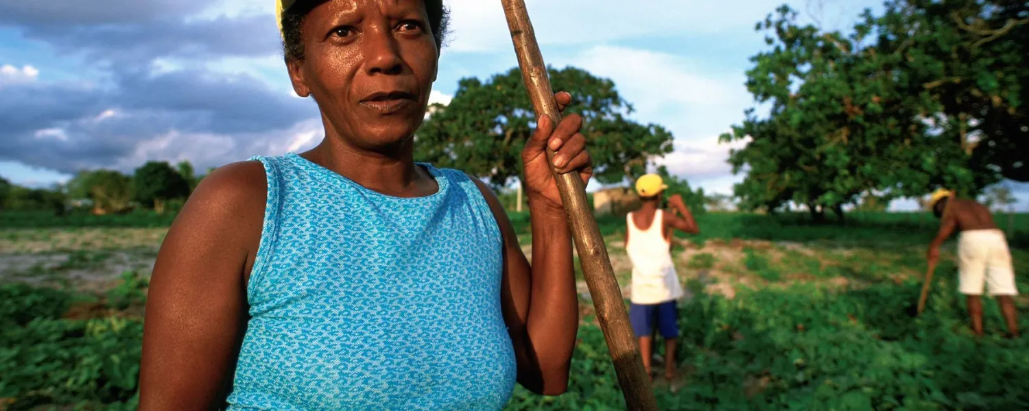 Family tend crops in Brazil. 