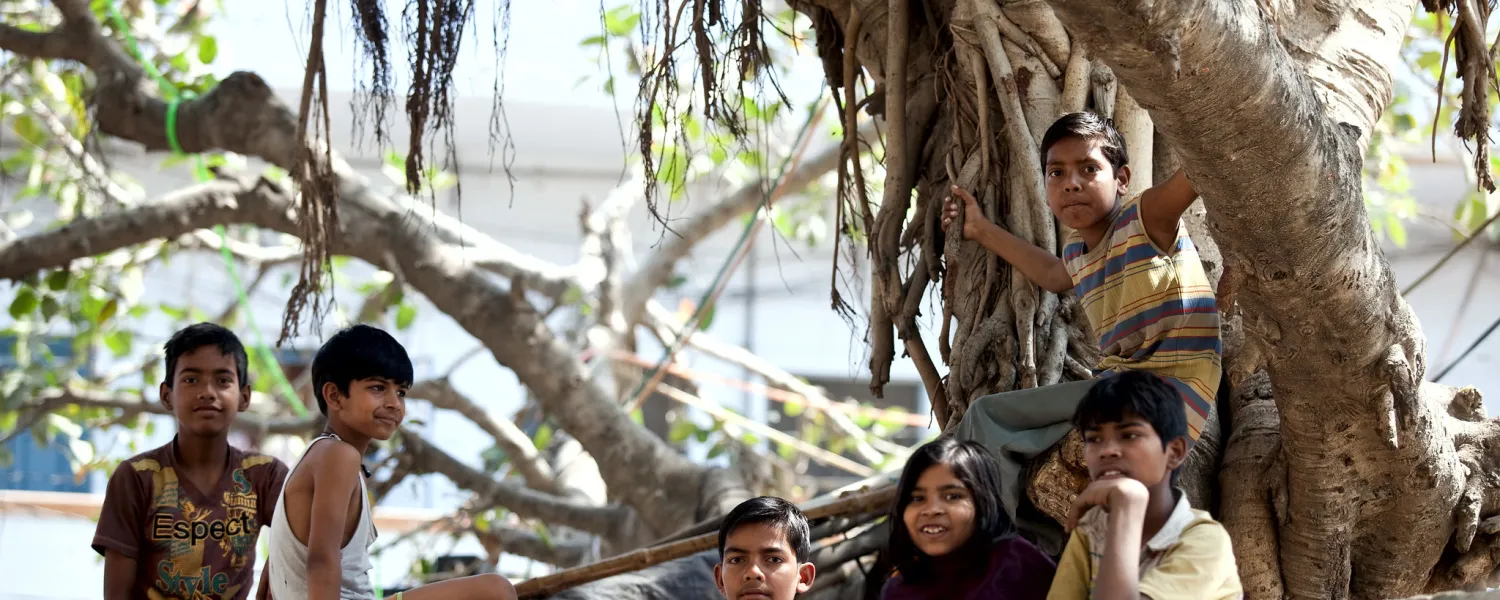 Children sitting under tree in region of India