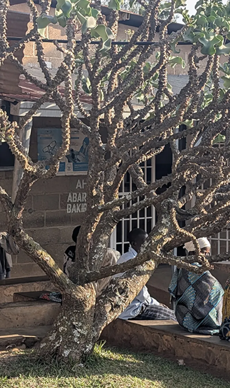 FD-TACT malaria treatment trial