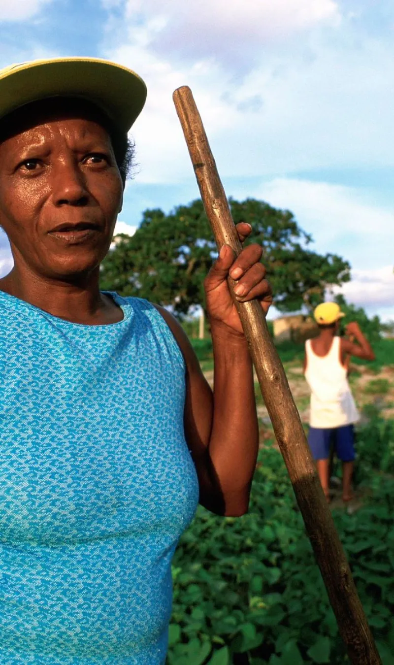 Family tend crops in Brazil. 