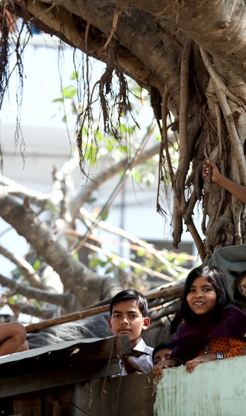 Children sitting under tree in region of India