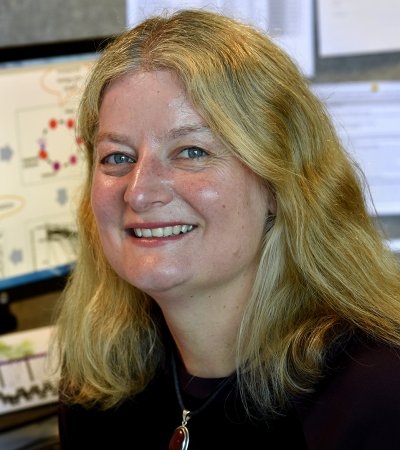 Professor Julie Simpson 