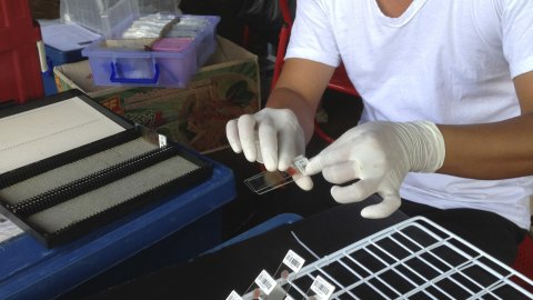 Man working with samples