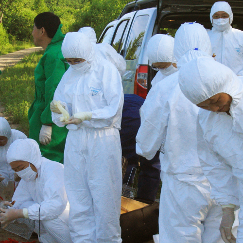 scientists collect samples