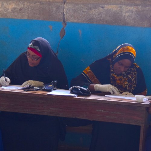 Mass drug administration in Pemba, Tanzania. Credit Piet Cools, Starworms 