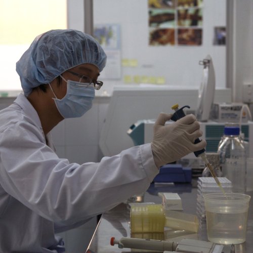 lab technicina working - credit Simone D McCourtie, World Bank