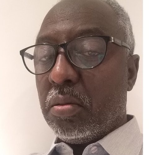 Associate Professor Elfatih Malik