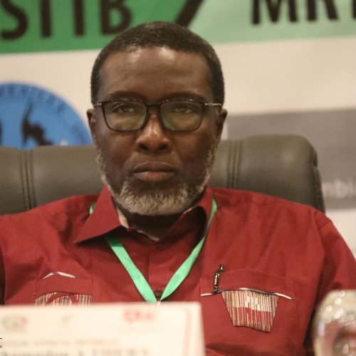 Professor Mahamadou A Thera