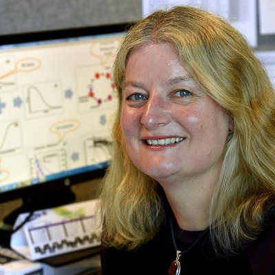 Professor Julie Simpson 