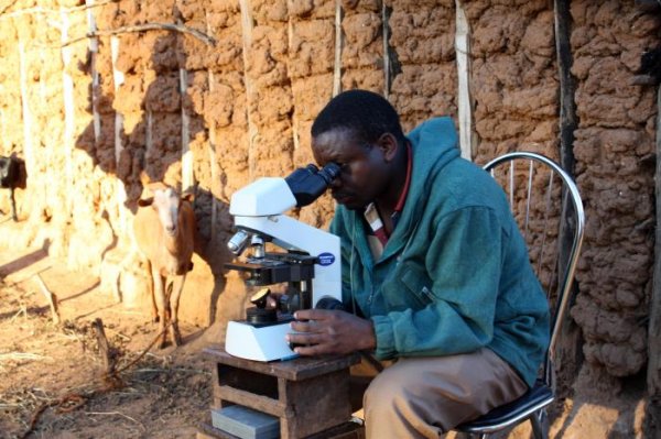 Man using microscope in field study