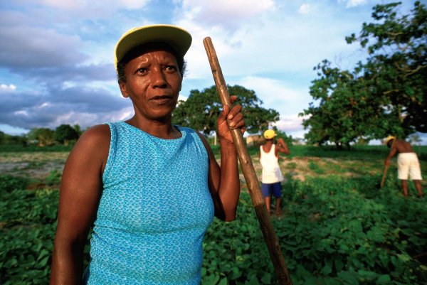 Family tend crops in Brazil. 