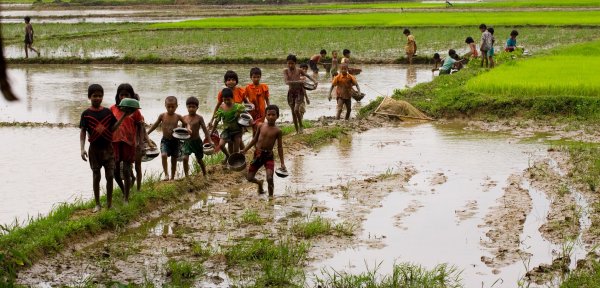 children playing by water