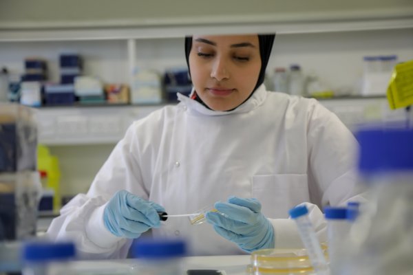 Researcher Testing for AMR