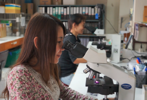 Researchers using microscopes